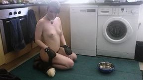 pet play with my pretty butt plug tail. don t i look cute drinking out of my water bowl on the floor with my hands in leather...