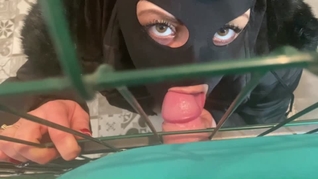 I visit my friends wife. she likes to blow me