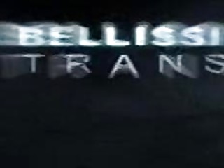 Trans Night
