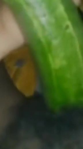 Key moment from &quot;Bangladeshi sexy girl cucumber hard masturbate.&quot;