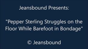 Pepper Sterling Bound While Held for Ransom - HD