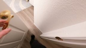 Neighbor fucking wife to help her cheat on her husband