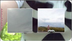 die video collage von der halbnackten fahrradtour