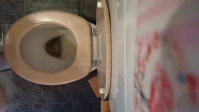 perfect ass pee and farts on the wc 4k