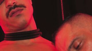 Flogged and Devoured Jacob Lords Dark Desires