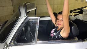Vanessa felony traffic stop actions