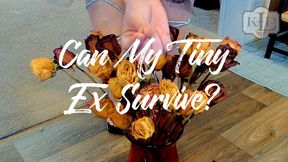 Can My Tiny Ex Survive?