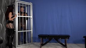 Nylonprisoner used on retention bench FullHD