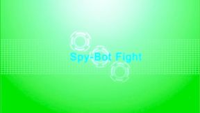 Two Fembot spies Fighting