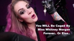 You Will Be Caged By Miss Whitney Morgan Forever Or Else - mp4