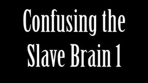 Confusing The Slave Brain Part 1