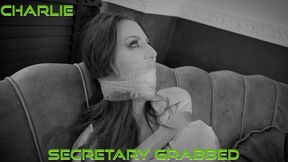 Charlie Monaco - Secretary Grabbed *Black and White* MP4 HD ( Wrap Gagged , Bound Gagged , Tape Bondage , Tied Up Gagged , Bondage , BDSM , Black and White , Secretary Fetish , OTN Gag , Duct Tape Wrap Gag , Skirt and Blouse )