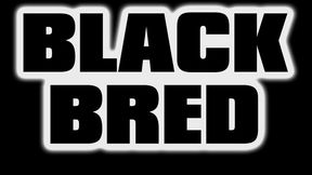 Black Bred