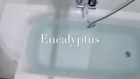 Eucalyptus