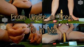 From Under a Tree To In Me