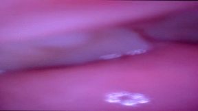 Tiny Human Trapped in Giantess Mouth as she Drinks POV 4k