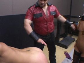 Master Steelow's Circus Of Fear