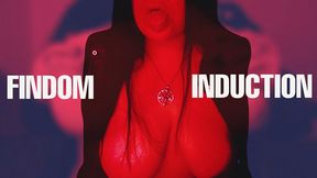 Findom Induction