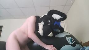 My Big, Soft, Whale Toy