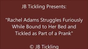 Rachel Adams Tickled as Part of a Prank - WMV