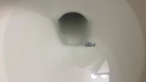 Tiny City Floating in Giantess Huge Toilet 4k
