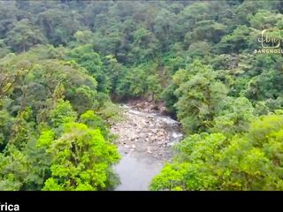 Bangnolly Africa - Jungle Sex