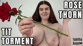 Rose Thorn Tit Torment WMV