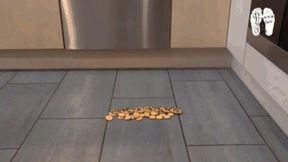 Cookies on the floor