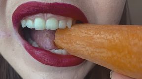 carrot chewing close up