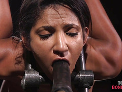 Predicament bondage BDSM babe gets spanked over whole body