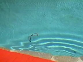 Kristara Barrington Fucks Poolside