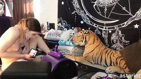 Hot Brunette Rides Sybian And Gives Head