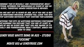 Anal Slammer: Sindy Rose Takes a Hardcore Ass Pounding in the Studio