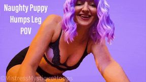 Naughty Puppy Humps Leg POV (with music)