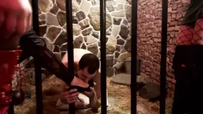 Scratching the prisoners back with the bone - Hungarian and Brazilian Prison Guards