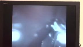 Asian Babe Ria Sakurai Craves Intense Cock in HerUnpopped Cherry; Blows &amp; Swallows!