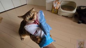 Pussy&#x1F32E;&#xFE0F;-wearing costumed girls are top-notch OSHI NO KO ASIAN FUN