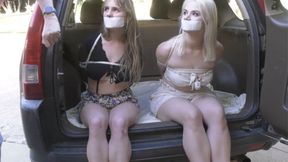 It's Time to Secure the Agents in a New Location - Bondage Road Trip Ahead! 1080p Version