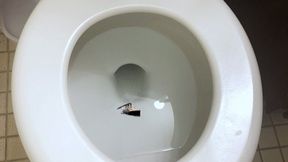 Tiny Ship in Giantess Toilet 1080