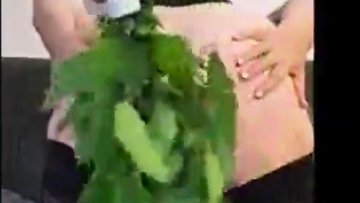 punishment with bunch of nettles