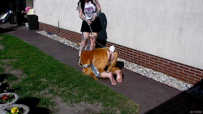 Easter Bunny Hunting 1/2