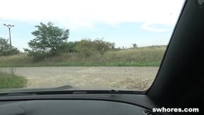 Peter Stallion's hd sex by S Whores