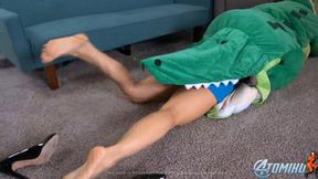 GATORS MEALS OF THE DAY - WMV
