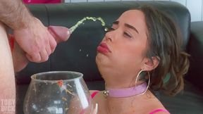 wet degraded anal piss spew recycling piggy whore roxy richie with nose hook and mouth spreader is used and broken