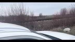 Grunt-Worthy Outdoor Blowjob Adventure