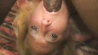 Sub Milf Throat Fucks thick big black cock  Swallows his Seed