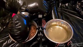 Slave In Black Latex Eating Dog Food And Drinking Piss