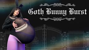 Goth Bunny Burst (Belly Inflation)