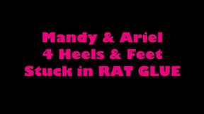 Mandy & Ariel in Heels Trapped in Rat Glue