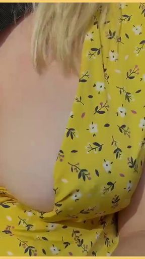 Powerful moment from &quot;COMPILATION - wifey flashing her tits in the car&quot;